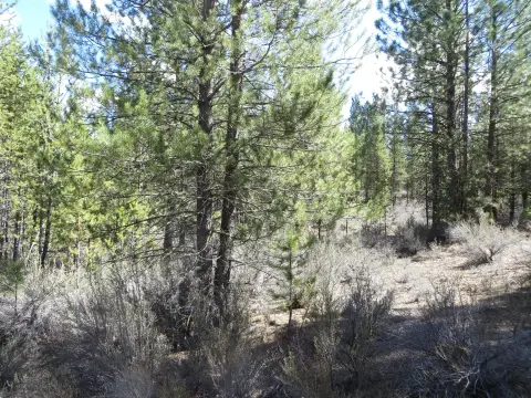 Acre Lot Near Sprague River