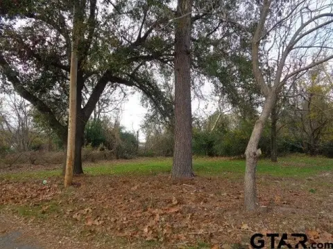 Residential Property in Winnsboro, TX