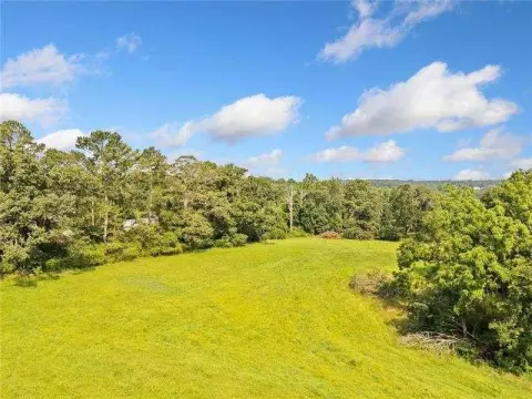 Pastoral Farmland with Creek