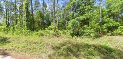 Land Near Fort McCoy, FL