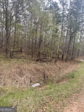 Wooded Lot Near Lake Sinclair