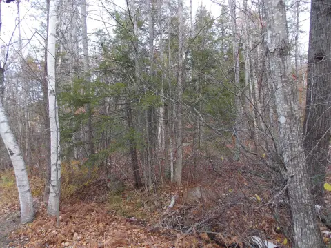 Residential Land in Bartlett, NH