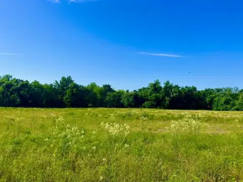 Poolville Land with Mature Trees