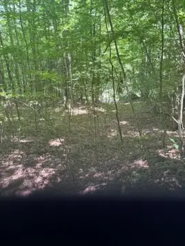 Residential Land in Franklin, NC