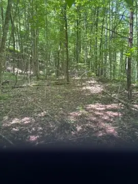 Residential Land in Franklin, NC