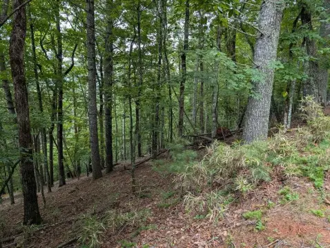 Franklin, NC Land Parcel