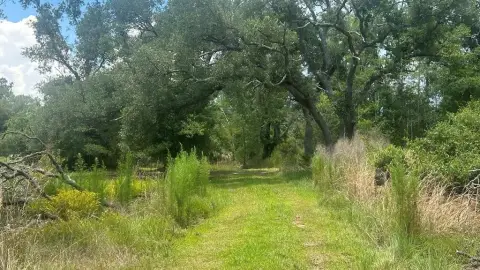 Wooded Hunting & Recreational Land