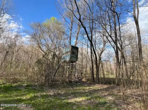 Timber and Recreation Land Tract