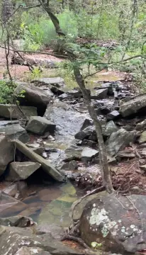 Secluded Wooded Land with Creek