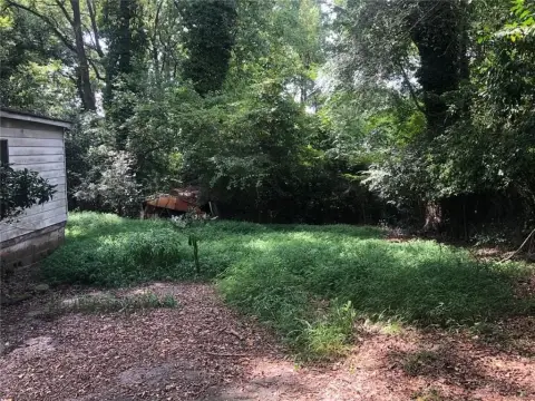 Residential Land in Peaceful Atlanta