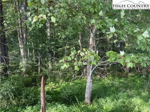 Land Near West Jefferson