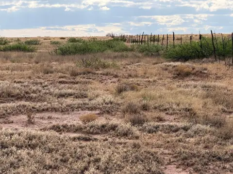 Rolling Grassland Ranch