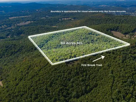 Wooded Hunting Land with Cabin