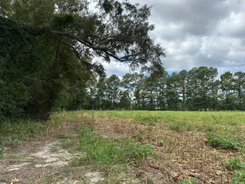 Farmland with Cropland and Timber