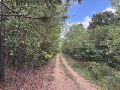 Hunting Land with Rock Outcroppings