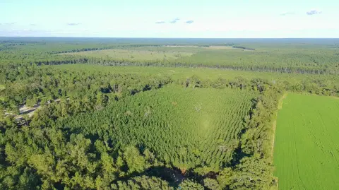 Agricultural Land with Timber