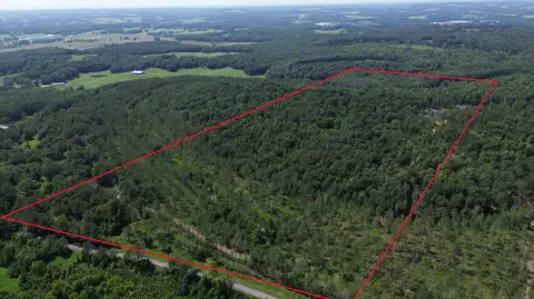Timber and Hunting Land