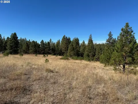 5-Acre Parcel in Goldendale, WA