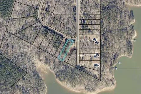 Dockable Lake Lot in Tignall