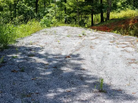 Wooded Lot in Tiny Mountain Estates