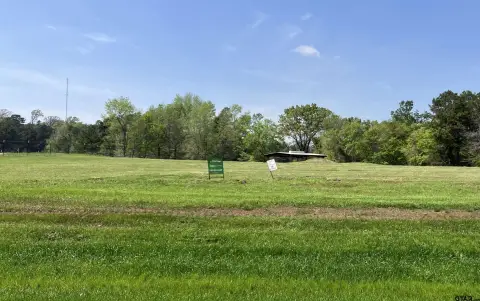 Residential Land in Winona, TX