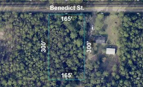 Wooded Parcel in Flagler Estates