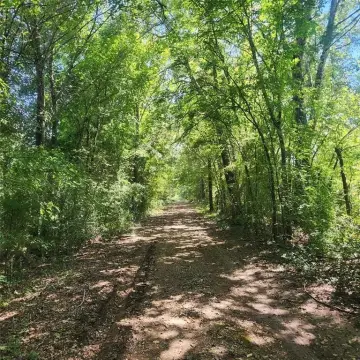Undeveloped Land in Lindale, Texas