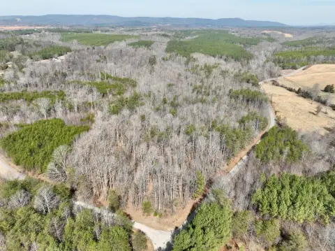 Axton Vacant Land with Views