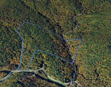 Unrestricted Land with Creek & Timber
