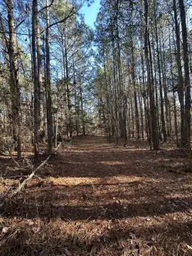 5.99 Acre Homesite or Recreation