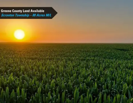 Cropland Tract with Drainage Tile