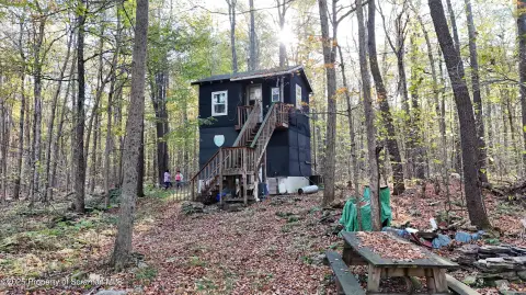 61 Acres Hunting Land