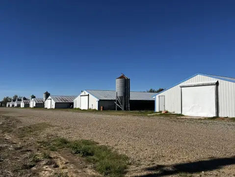 Poultry Farm with Broiler Houses