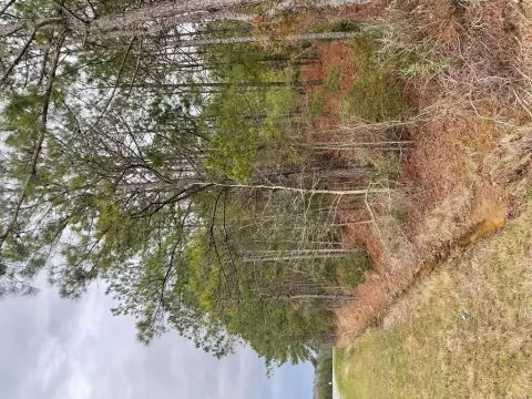 Highway-Frontage Development Land