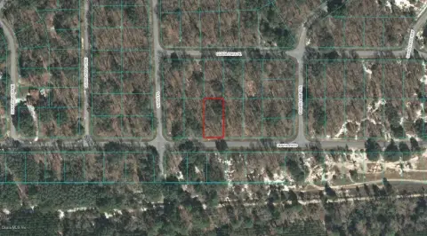 OCKLAWAHA, FL Land For Sale