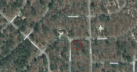 Residential Land in Ocklawaha, FL