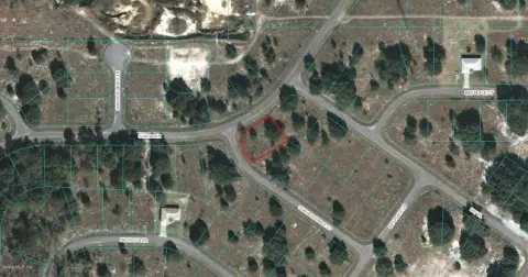 Land For Sale in Ocklawaha