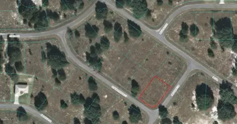 Land For Sale in Ocklawaha