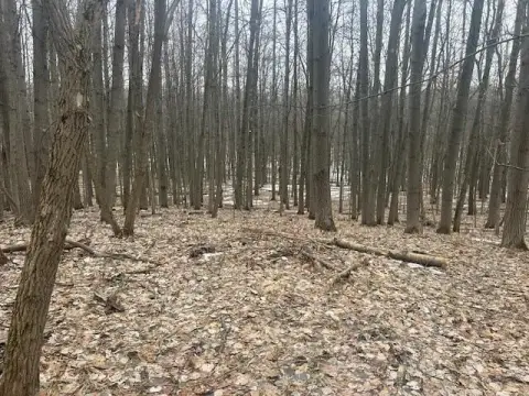 Canadian Lakes Wooded Building Site