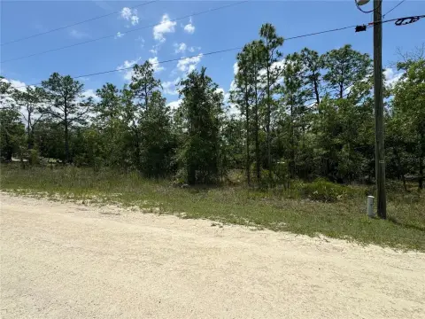 Wooded Residential Homesite