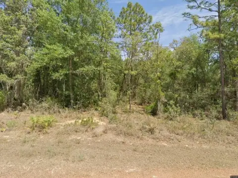 Vacant Land Parcel