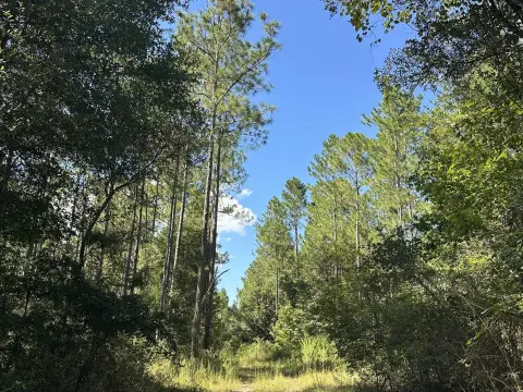 Agricultural Land Tract