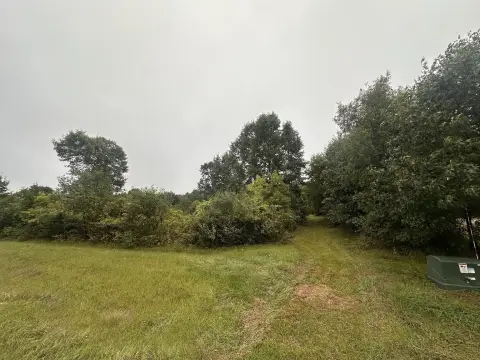 Wooded Hunting Land