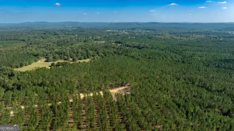 69-Acre Timber Tract in Rome, GA