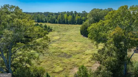 Pasture and Timber Farmland