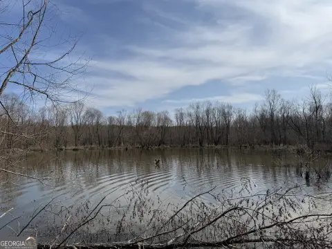 Hunting Land with Creek Habitat