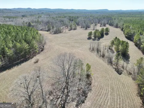 Rome, GA Land Opportunity