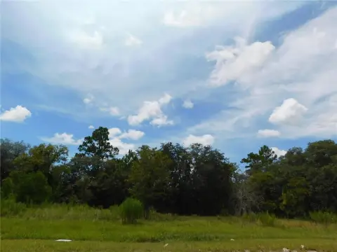 Land in Prime Dunnellon Location