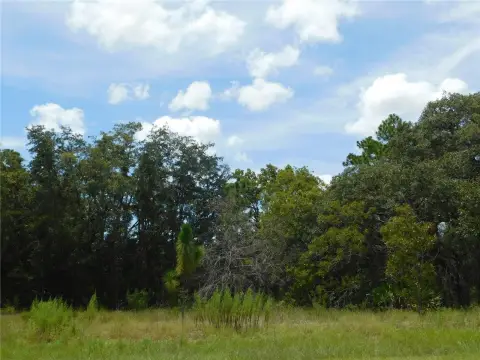Land in Dunnellon, Florida