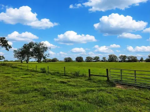 Fenced Agricultural Land